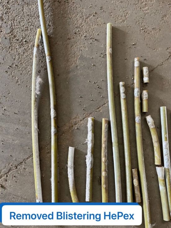 Removed Blistering HePex
